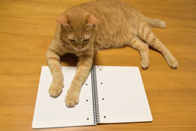 対象業者拡大!動物取扱の記録台帳一覧